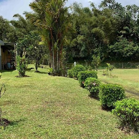 972B-Coin De Verdure Au Pied De La Montagne Pelee Le Morne-Rouge Exterior photo